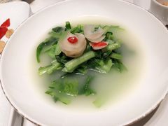 -觅唐MITONG(鸟巢店)