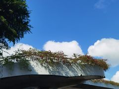 -文昌邓记清补凉(西沙路店)