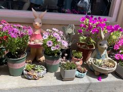 -后海16号·北京私房菜