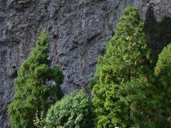 -雁荡山风景名胜区