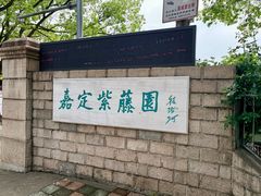 -嘉定紫藤园