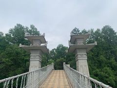-东湖落雁景区