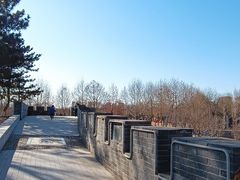 -河北省园博园
