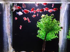 -邯郸海洋世界