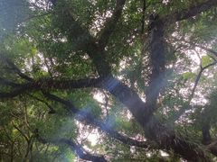 -桂林独秀峰王城景区