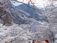 -崂山巨峰游览区