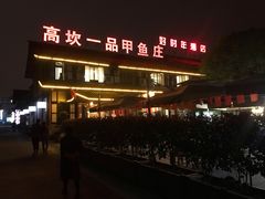 -高坎一品甲鱼庄(两河店)
