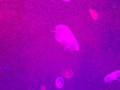 -多彩贵州城极地海洋世界