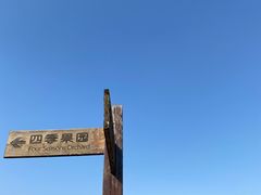 -上海都市菜园