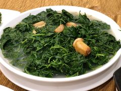 -寻味顺德·南记酒家·传统顺德菜·鱼生(广源路店)