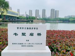 -青枫公园