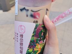 -悸动(吴泾宝龙广场店)