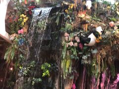-正佳雨林生态植物园