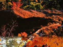 -香山公园