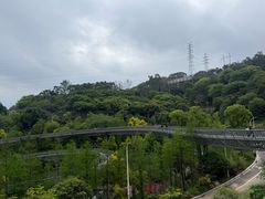 -福道