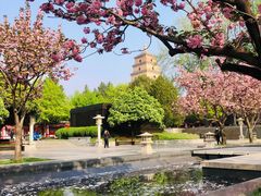 -大慈恩寺(大雁塔)