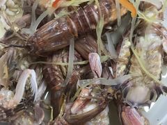 盐水漱尿虾-阳江餐厅·30年老字号·粤菜海鲜大排档