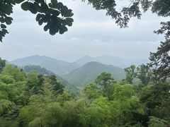 -莫干山风景区