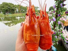 -水岸居湖景农家乐·阳澄湖大闸蟹