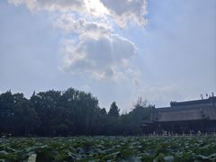 -莲池书院博物馆