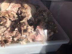 -洪记白水羊头(天坛店)