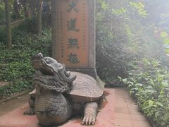 -青城山