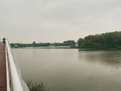 -大兴滨河森林公园