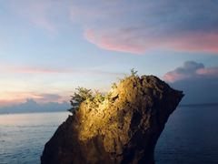 -Rock Bar Bali(Bali)