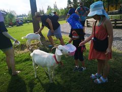 -前小桔亲子创意农场·草莓采摘·露营烧烤