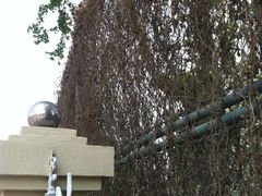 2013-06-19&nbsp;10.22.43-天津市第二中学