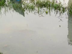 -艾溪湖湿地公园