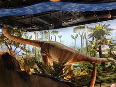 -陕西自然博物馆