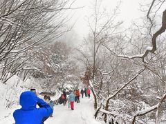 -紫金山山顶公园