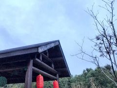 -呼吸森林·生态农庄农家乐私房菜