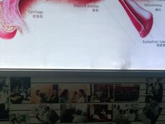 -自然之声助听器(平凉店)