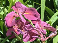 -徐家汇源景区-衡山公园