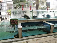 -沙河粉村·国家非遗传承(云台店)