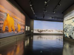 -罗红摄影艺术馆