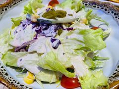 西北大拌菜-北疆饭店(金狮广场店)