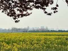 -汉长安城未央宫国家考古遗址公园