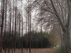 -河南省黄河迎宾馆