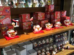 -猫咪博物馆(顶澳仔猫街店)