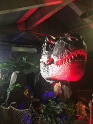 -恐龙探索乐园(磁器口店)