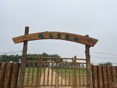 -碣石宫遗址