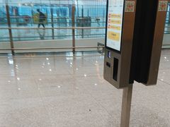 -麦当劳(北京大兴机场二层国内到达(安检外)店)