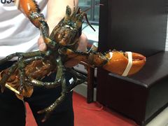 -云南巷海鲜大咖·可加工海鲜