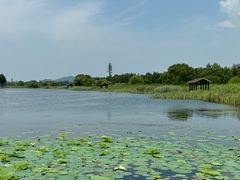 -苏州太湖湖滨国家湿地公园