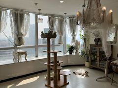 -共舞时光猫咖·狗咖(新街口店)