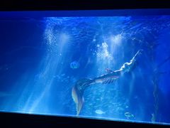 -常州海昌海洋探索馆