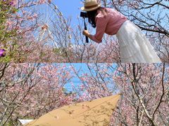 -田野绿世界